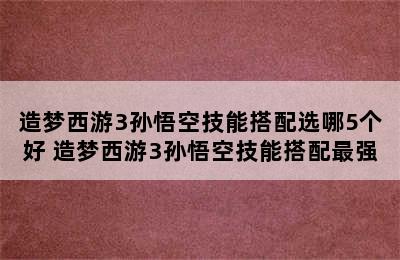 造梦西游3孙悟空技能搭配选哪5个好 造梦西游3孙悟空技能搭配最强